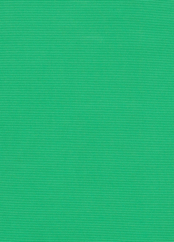 Isla Rib Halter Triangle Bikini Top - Green